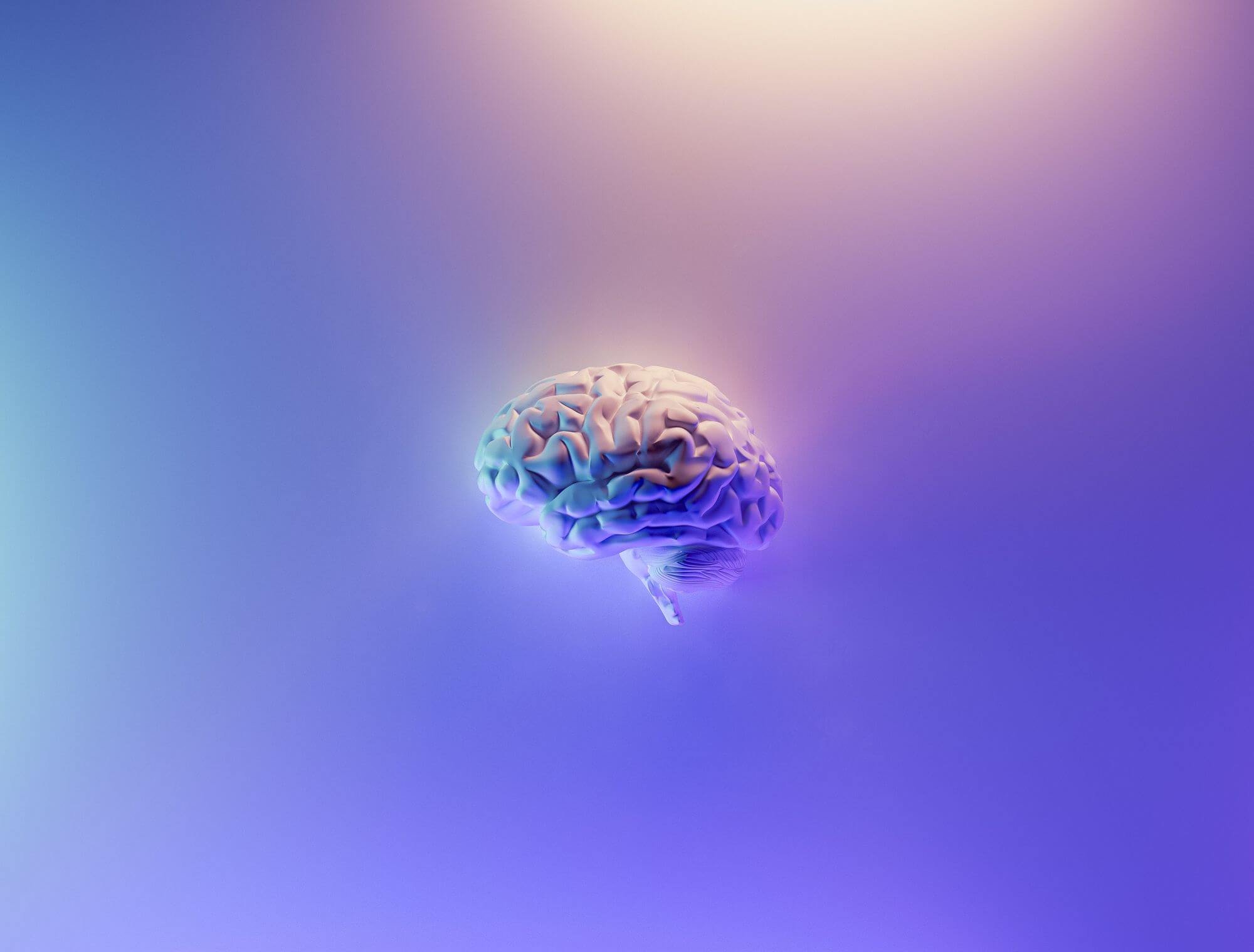 Matematické neurony: Mozek používá jiné buňky ke sčítání a odčítání